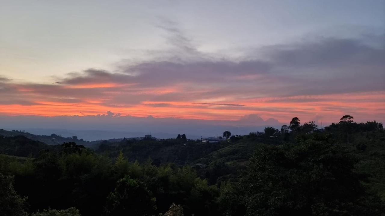 Finca Chalet La Tawa Sevilla  Dış mekan fotoğraf